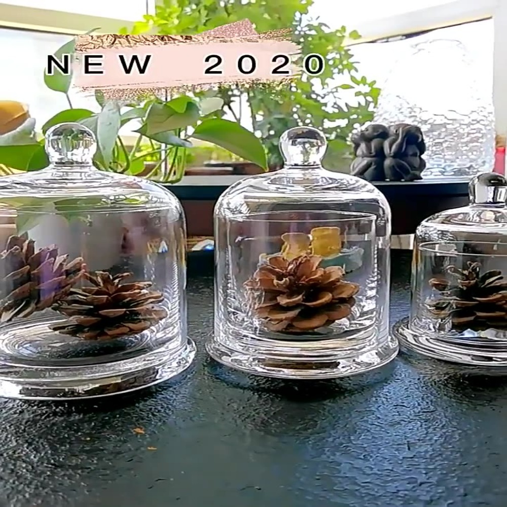 Candle Making Jars With Lids - 유리 보관 용기, 영원한 생명의 꽃,