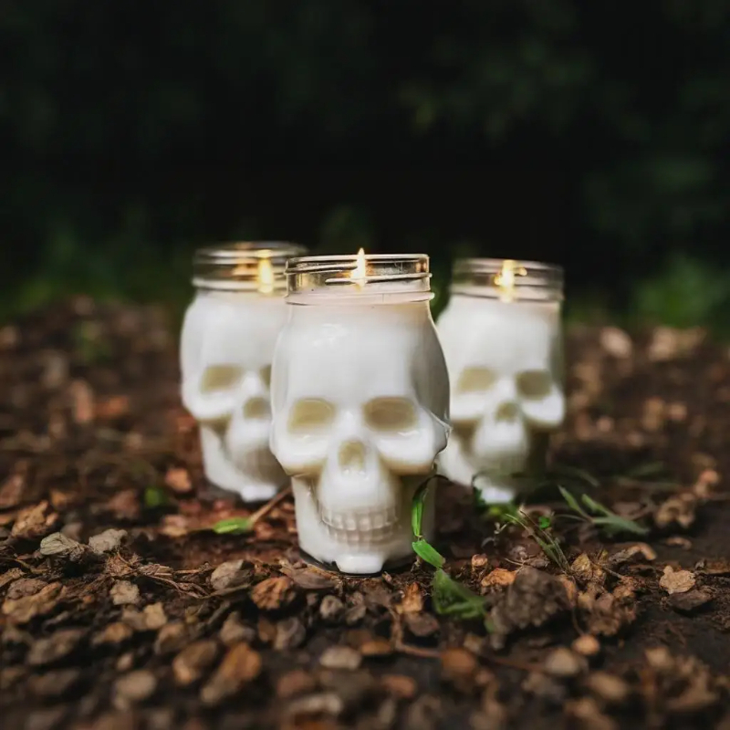 6팩 할로윈 투명 해골 플라스틱 항아리(뚜껑 포함) 양 - Candle Making Jars With Lids 리뷰 및 가격